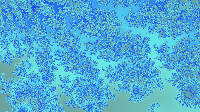 The fractal '2015-05-28' is computing, please be patient :)