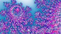 The Fractal '2018-10-20' is computing, please be patient :)
