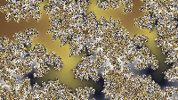 The Fractal '2019-08-09' is computing, please be patient :)