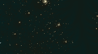 The Fractal '2019-09-09' is computing, please be patient :)
