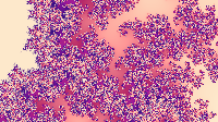 The Fractal '2020-05-02' is computing, please be patient :)