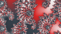 The Fractal '2020-07-15' is computing, please be patient :)