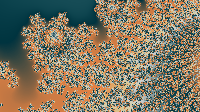 The Fractal '2021-04-13' is computing, please be patient :)