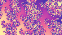 The Fractal '2021-09-19' is computing, please be patient :)