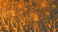 The Fractal '2021-12-29' is computing, please be patient :)