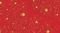 The Fractal '2022-03-25' is computing, please be patient :)