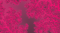 The Fractal '2026-01-01' is computing, please be patient :)