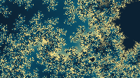 The Fractal '2026-05-18' is computing, please be patient :)