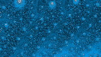 The Fractal '2026-07-16' is computing, please be patient :)
